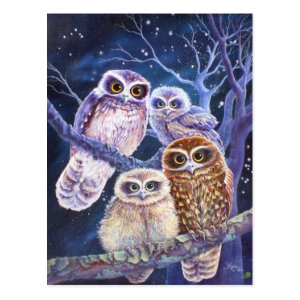 Boobook Owl Family Postcard