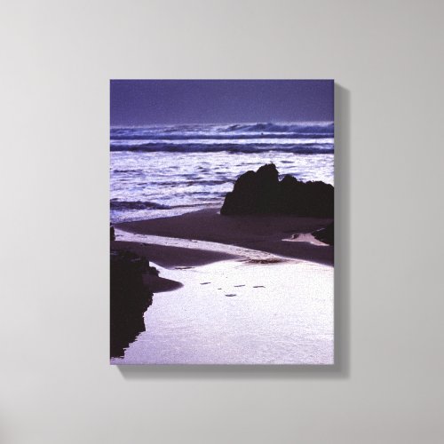 Boobys Bay Canvas Print