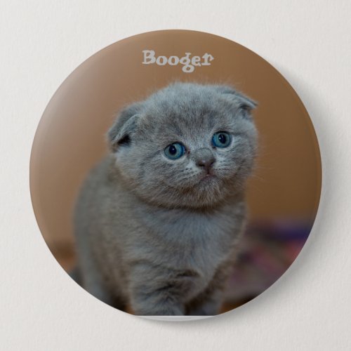 Booger the kitten button