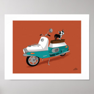 Boogie on Cezeta Poster