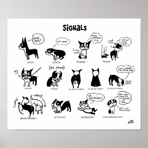 Boogie Signals by Lili Chin Poster