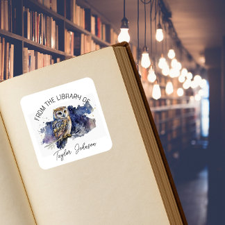 Book bookplate starry celestial night sky owl