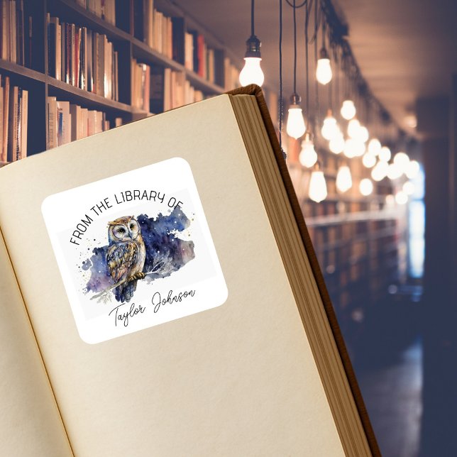 Book bookplate starry celestial night sky owl (Creator Uploaded)