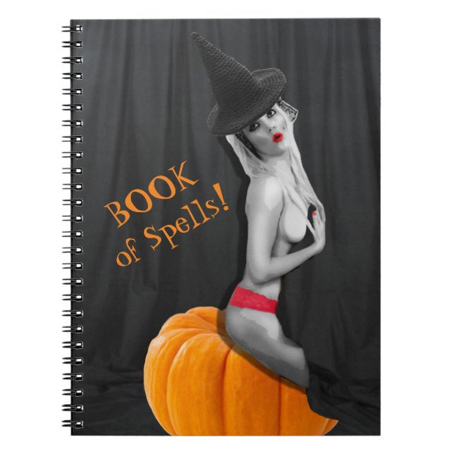 Book of Spells Notebook Journal Witchcraft Pagan (Front)