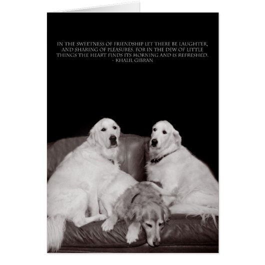 Bookends Gibran Poster Cards (Front)
