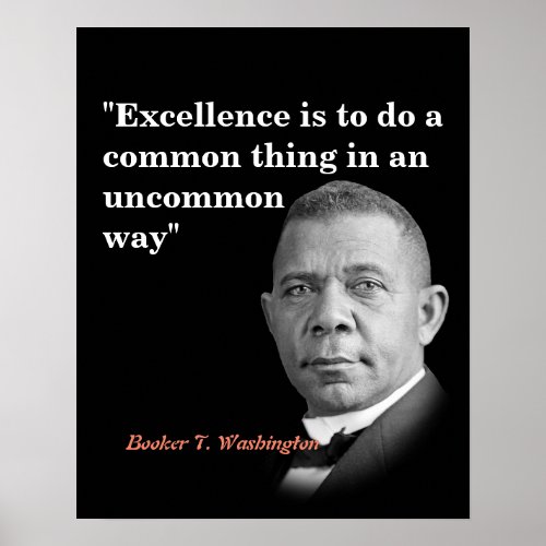 Booker T Washington Quote On Excellence Poster