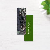 Bookmark Bear (Desk)