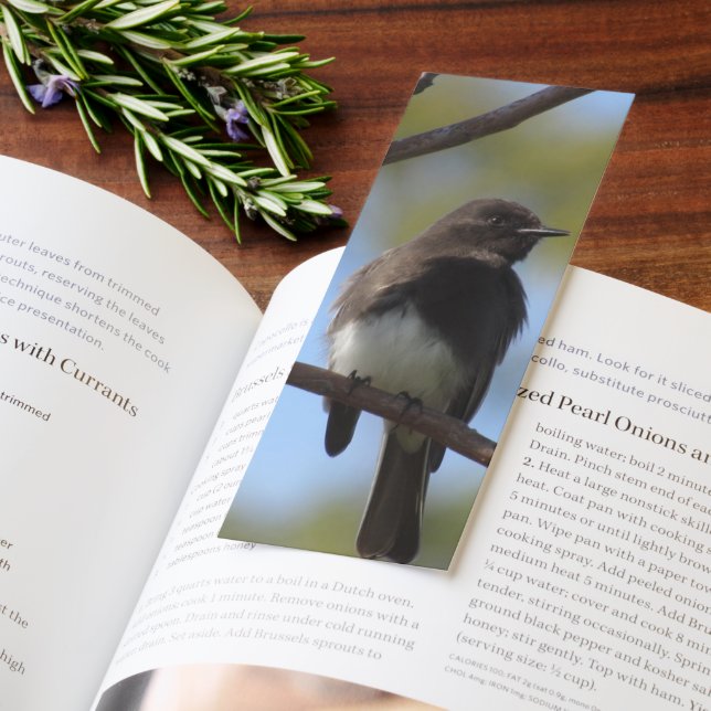 Bookmark - Black Phoebe (Book)