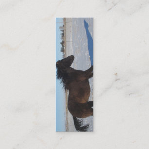 BOOKMARK - Horse Mini Business Card