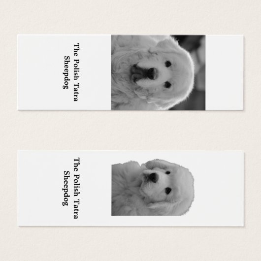 Bookmark of Polish Tatra Sheepdog Puppy (Front & Back)
