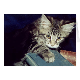 Books and Cats Cards