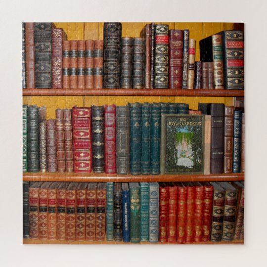 books library bookshelf jigsaw puzzle