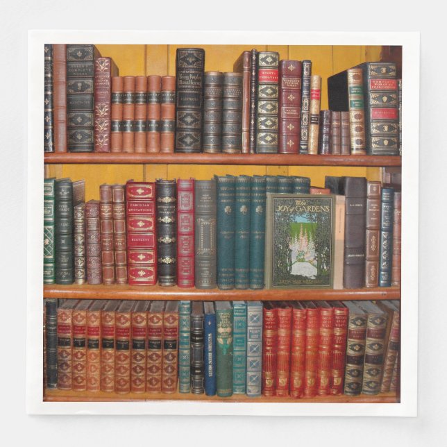 books library bookshelf bookshop paper dinner napkins (Front)