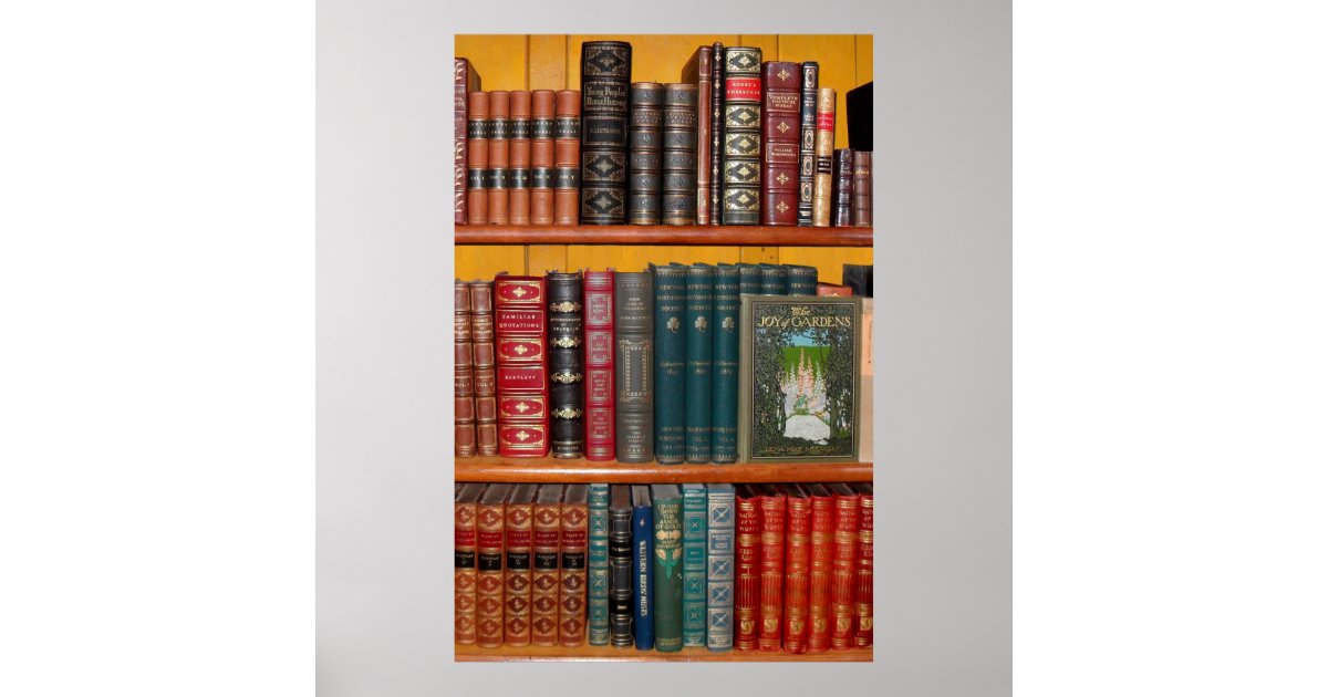 books library bookshelf poster Zazzle