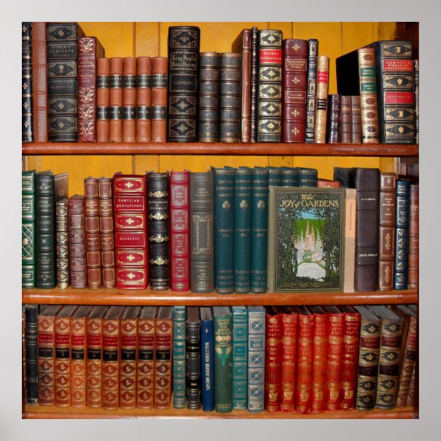 books library bookshelf bookshop poster (Front)