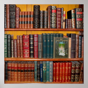 books library bookshelf bookshop poster