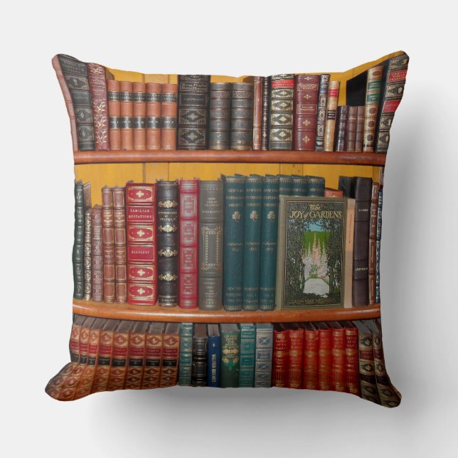 books library bookshelf bookshop throw pillow (Front)