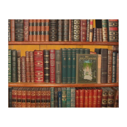 books library bookshelf bookshop wood wall art