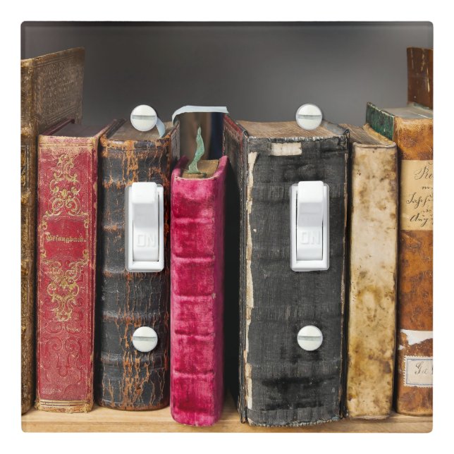 Books Light Switch Cover (In Situ)