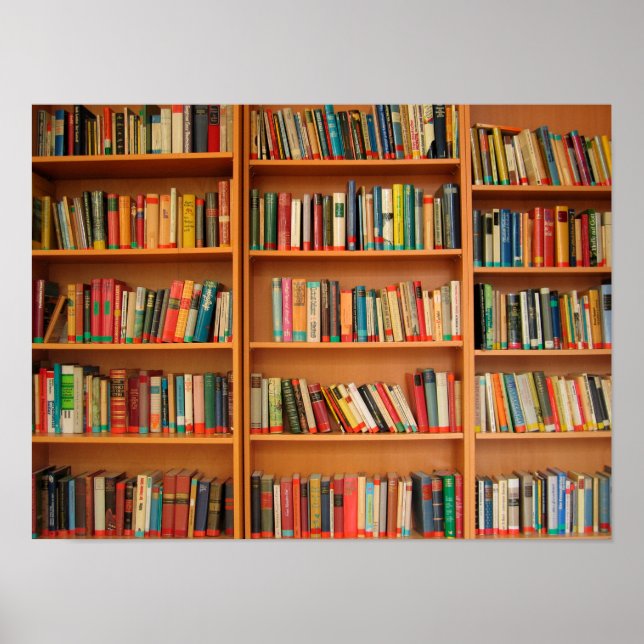 Bookshelf Books Library Bookworm Reading Poster (Front)