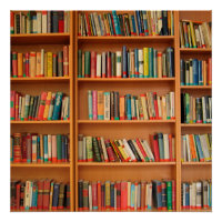 Bookshelf Books Library Bookworm Reading