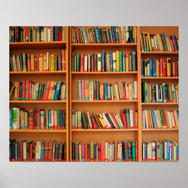 Bookshelf Books Library Bookworm Reading Poster (Front)
