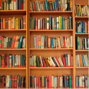 Bookshelf Books Library Bookworm Reading Statuette