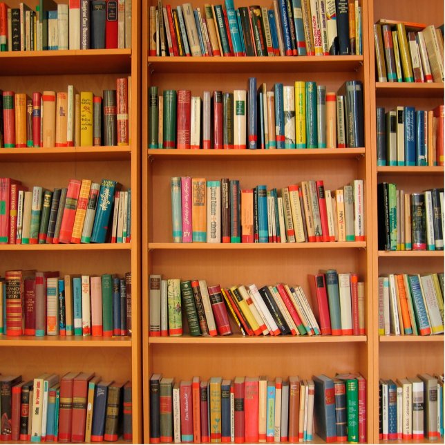 Bookshelf Books Library Bookworm Reading Statuette (Front)