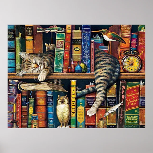 Bookshelf Cat Library cats Poster | Zazzle