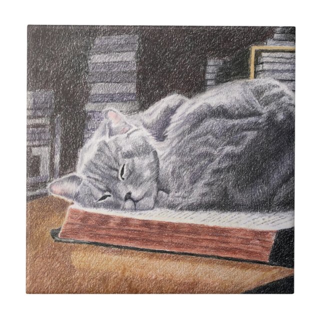 Bookstore Cat Ceramic Tile (Front)