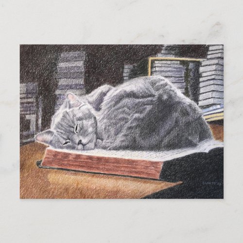 Bookstore Cat Postcard