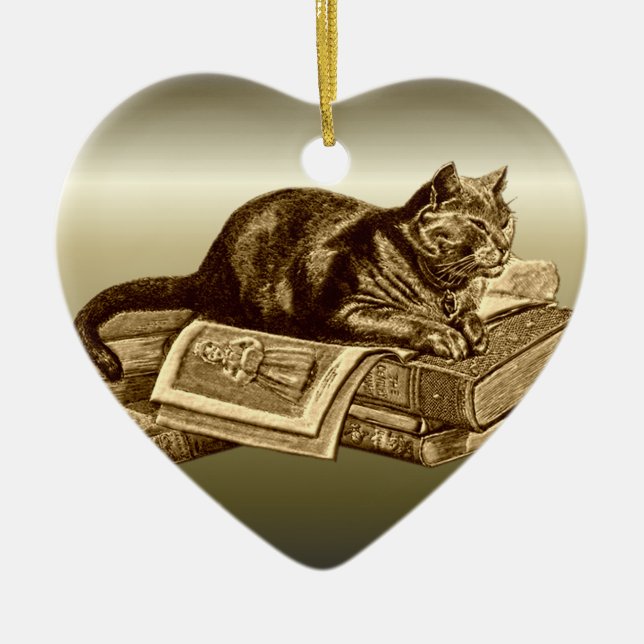 Bookworm Kitty Cat Reading Books Ceramic Ornament (Front)