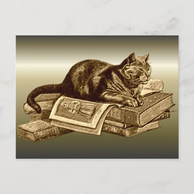 Bookworm Kitty Cat Reading Books Postcard (Front)