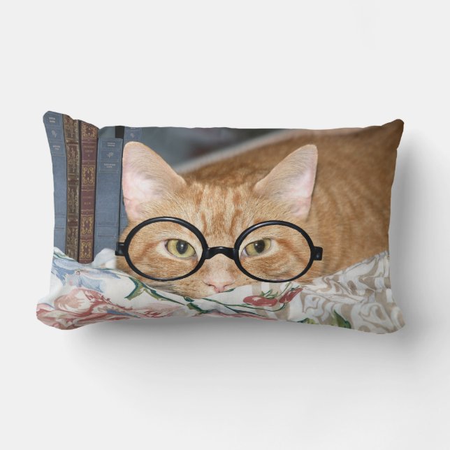Bookworm tabby lumbar pillow (Front)