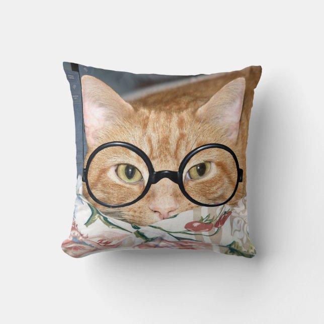 Bookworm tabby throw pillow (Front)