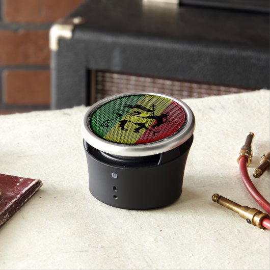 boombox reggae speaker (In Situ)