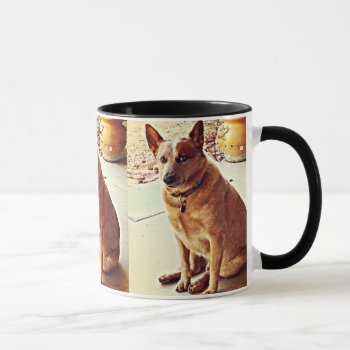 Boomer Red Heeler Coffee Mug by ChasingHummers at Zazzle