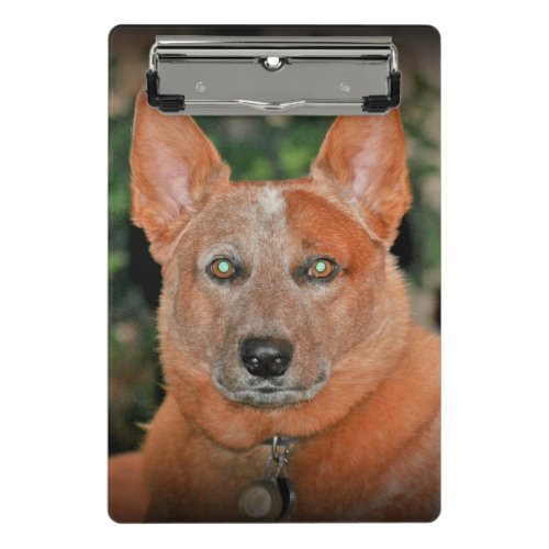 Boomer Red Heeler Dog Mini Clipboard