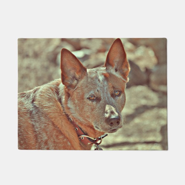 Boomer Red Heller Mat (Front)