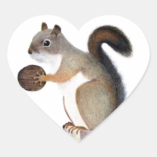 Boomer Squirrel Heart Sticker