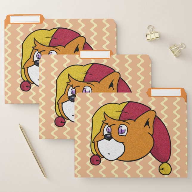 Boomi Cats File Folder (Set)