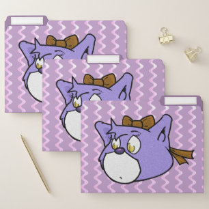 Boomi Cats File Folder