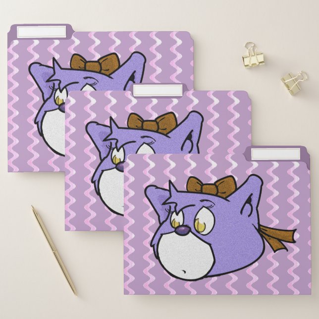Boomi Cats File Folder (Set)