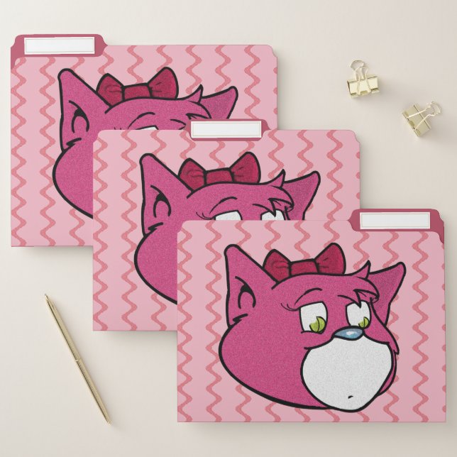 Boomi Cats File Folder (Set)