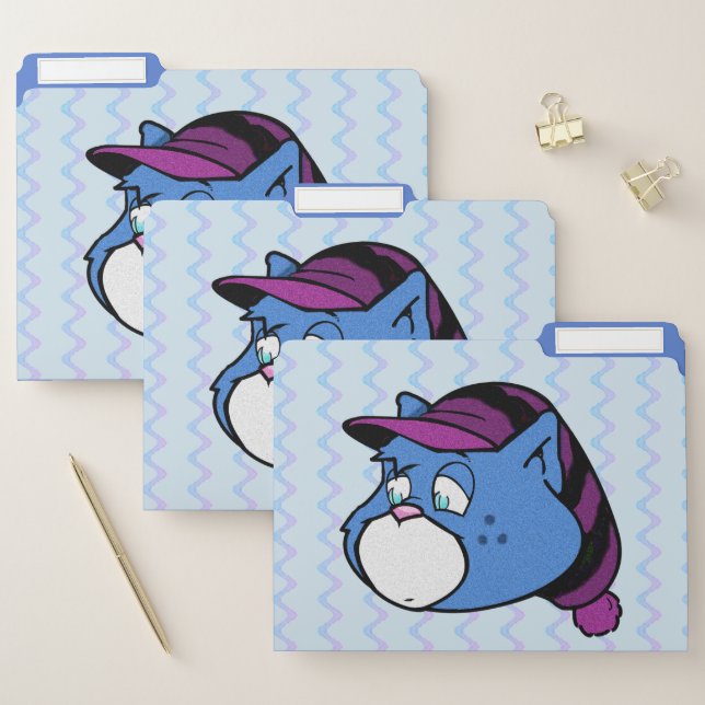 Boomi Cats File Folder (Set)