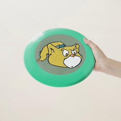 Boomi Cats Wham-O Frisbee