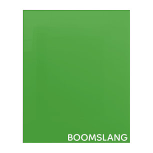 Boomslang green color name acrylic print