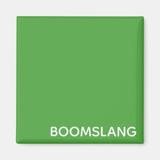 Boomslang green color name magnet (Front)