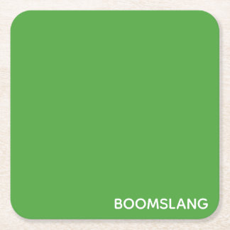 Boomslang green color name square paper coaster