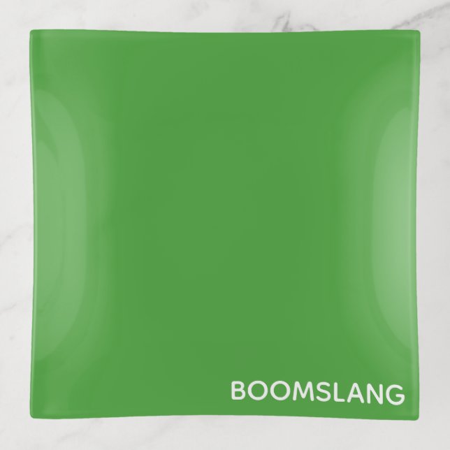 Boomslang green color name trinket tray (Front)